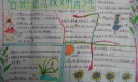 告别恶习做文明少年手抄报