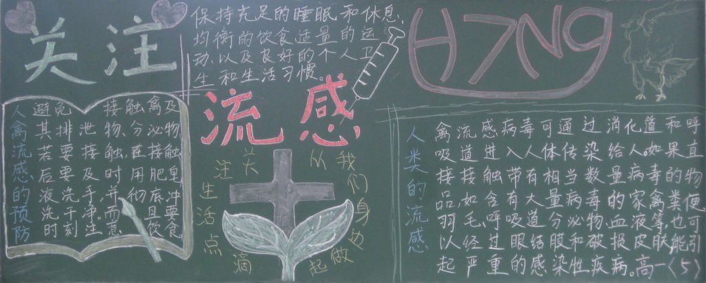 预防禽流感黑板报图片大全