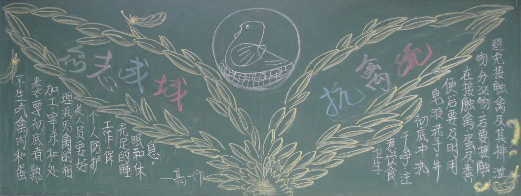 预防禽流感黑板报图片大全