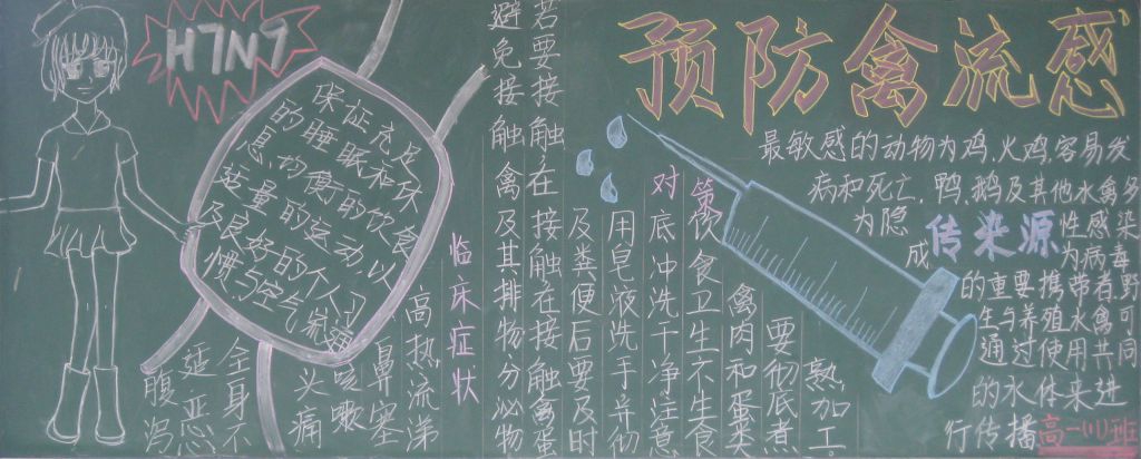 预防禽流感黑板报图片大全