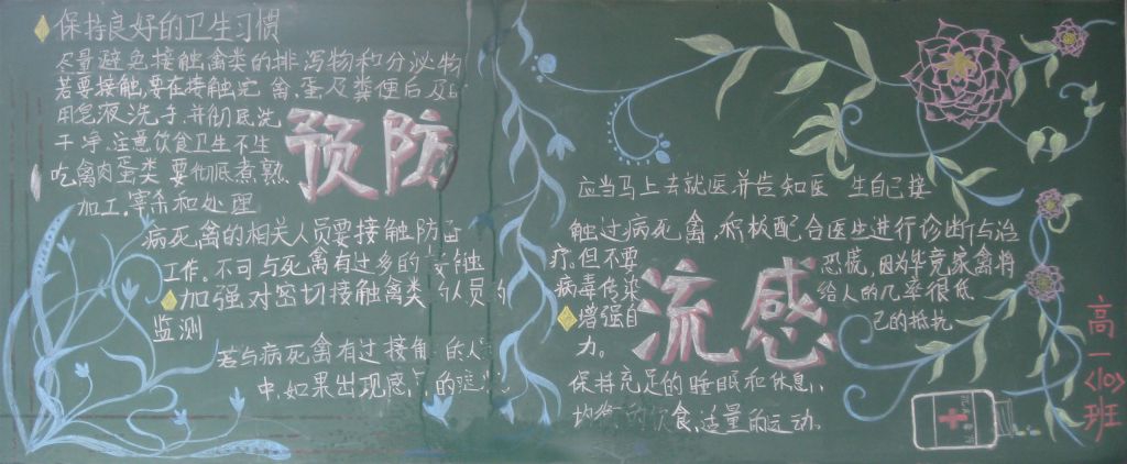 预防禽流感黑板报图片大全
