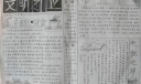 中学生文明礼仪手抄报