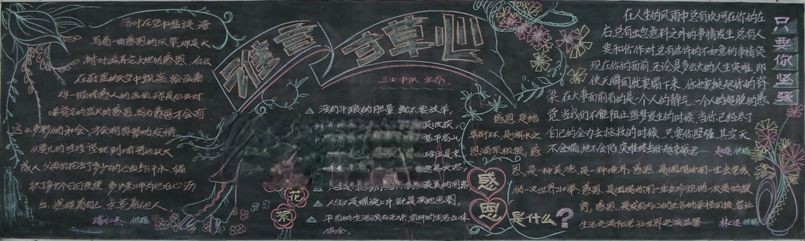 谁言寸草心板报图片