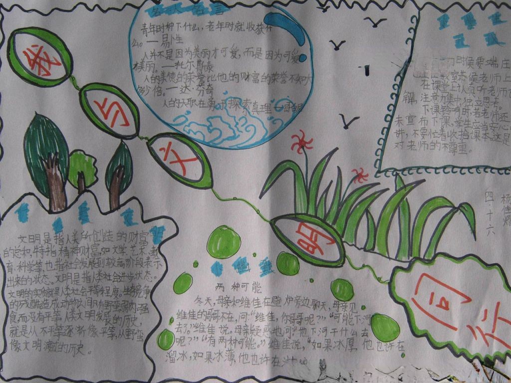 文明小学生手抄报大全