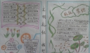 小学生文明礼仪手抄报版面设计图-精品推荐