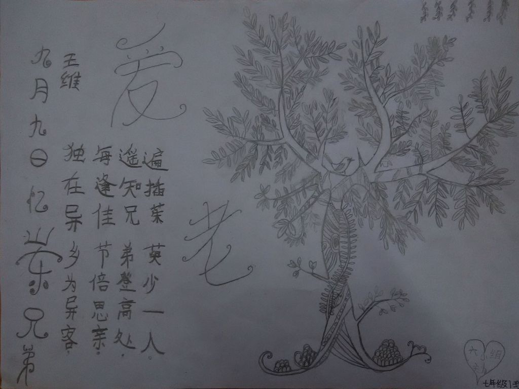 孩子们的重阳节手抄报作品