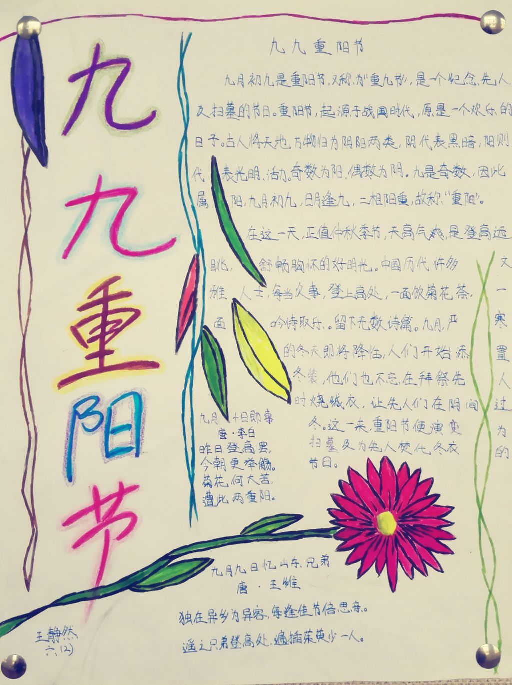 重阳节手抄报大全简单又漂亮（纵式）