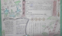 青山不老慈与孝手抄报