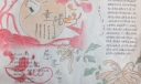 初中生重阳节手抄报