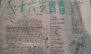 十六岁青春手抄报