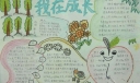 小学生理想教育主题手抄报-我在成长