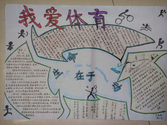 感受体育热爱运动手抄报大全
