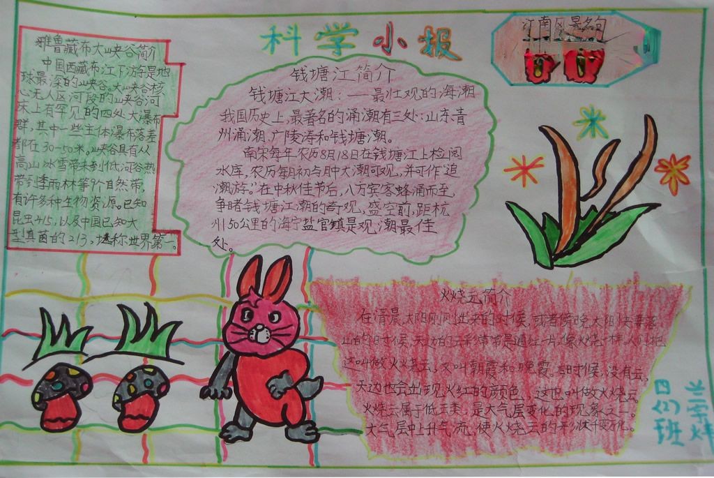 第一单元科学知识手抄报