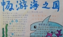 畅游海之国手抄报