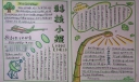 生物科技手抄报图片