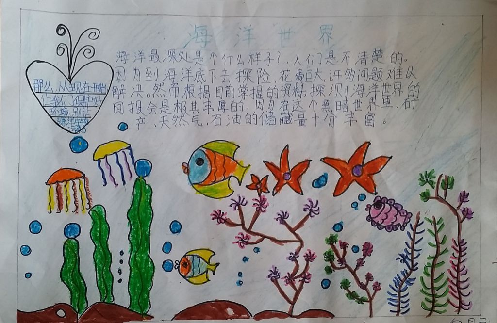 保护海洋资源手抄报