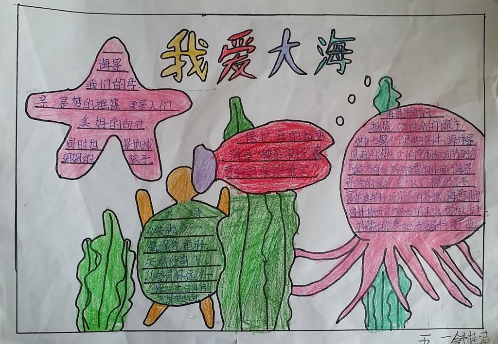 保护海洋资源手抄报