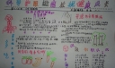 科学护眼远离近视健康成长手抄报图片