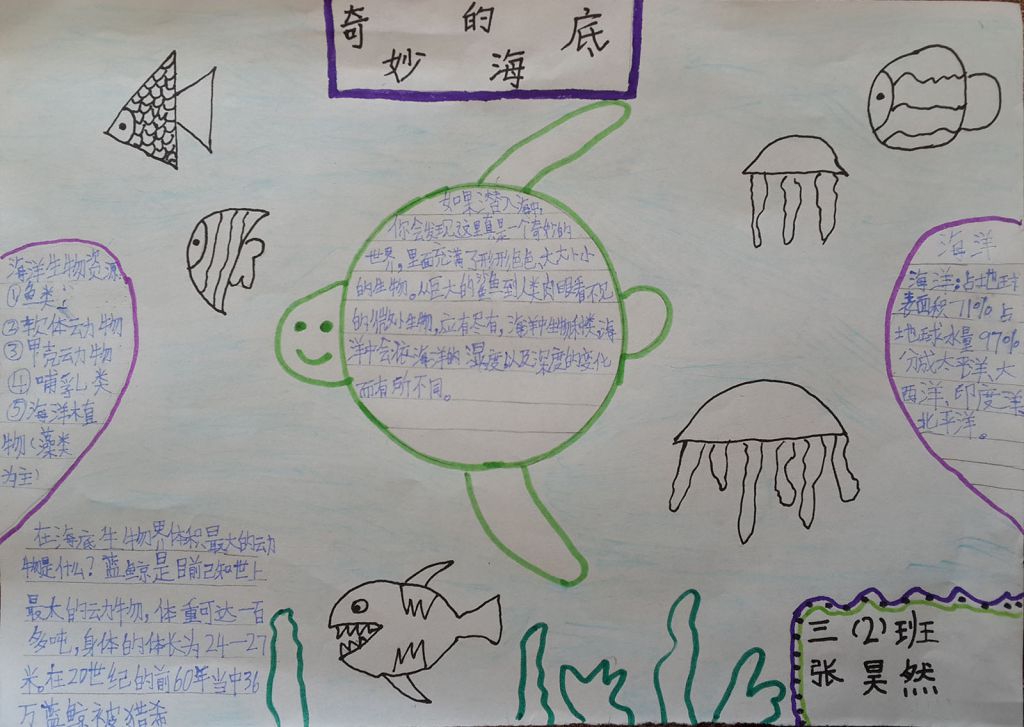 奇妙的海底手抄报 奇妙的海底手抄报