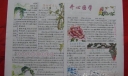 开心国学手抄报作品欣赏