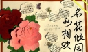 名花倾国两相欢手抄报