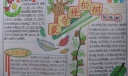 最奇怪的树手抄报