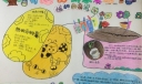 有趣的科学实验手抄报