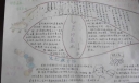 科学探索主题手抄报