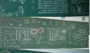 团队合作板报图片