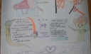 小学生防震减灾手抄报