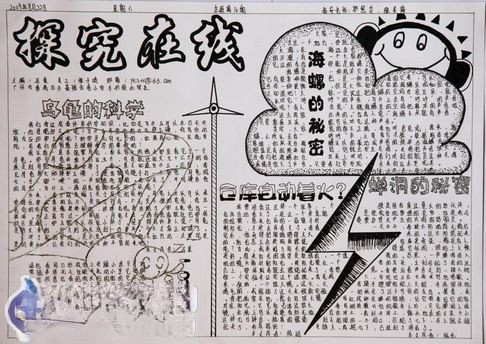 探究在线手抄报版面设计图
