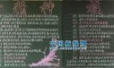 十八届三中全会黑板报图片大全
