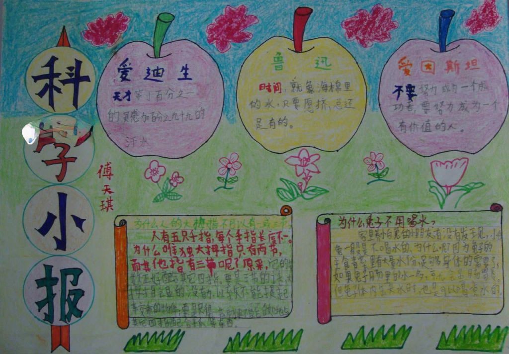二年级身边的科学手抄报