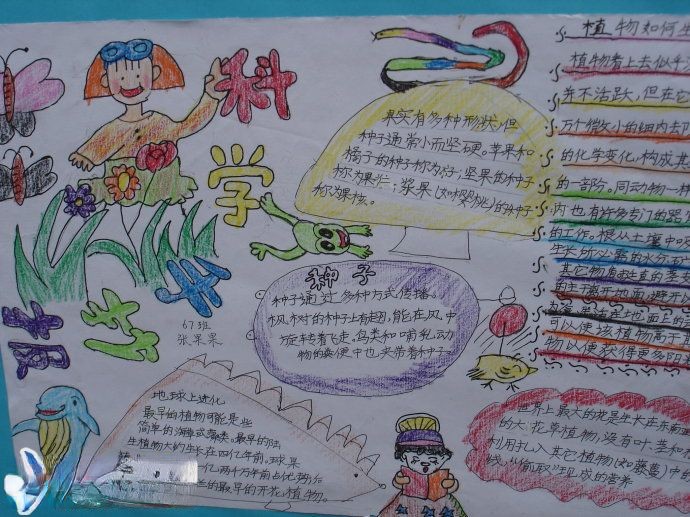 六年级科学手抄报作品