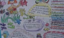 六年级科学手抄报作品