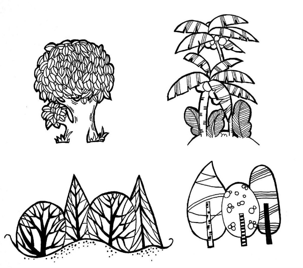 精美黑白手抄报装饰画，常用动物植物