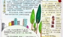 探索者手抄报版面设计图