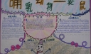 哺乳动物—袋鼠手抄报设计图欣赏