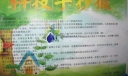 科技手抄报