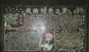 我的绿色之梦