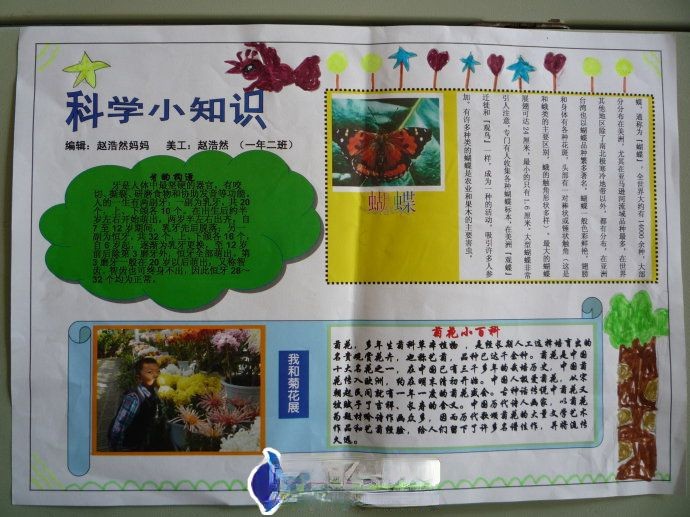 科学小知识手抄报版面设计图
