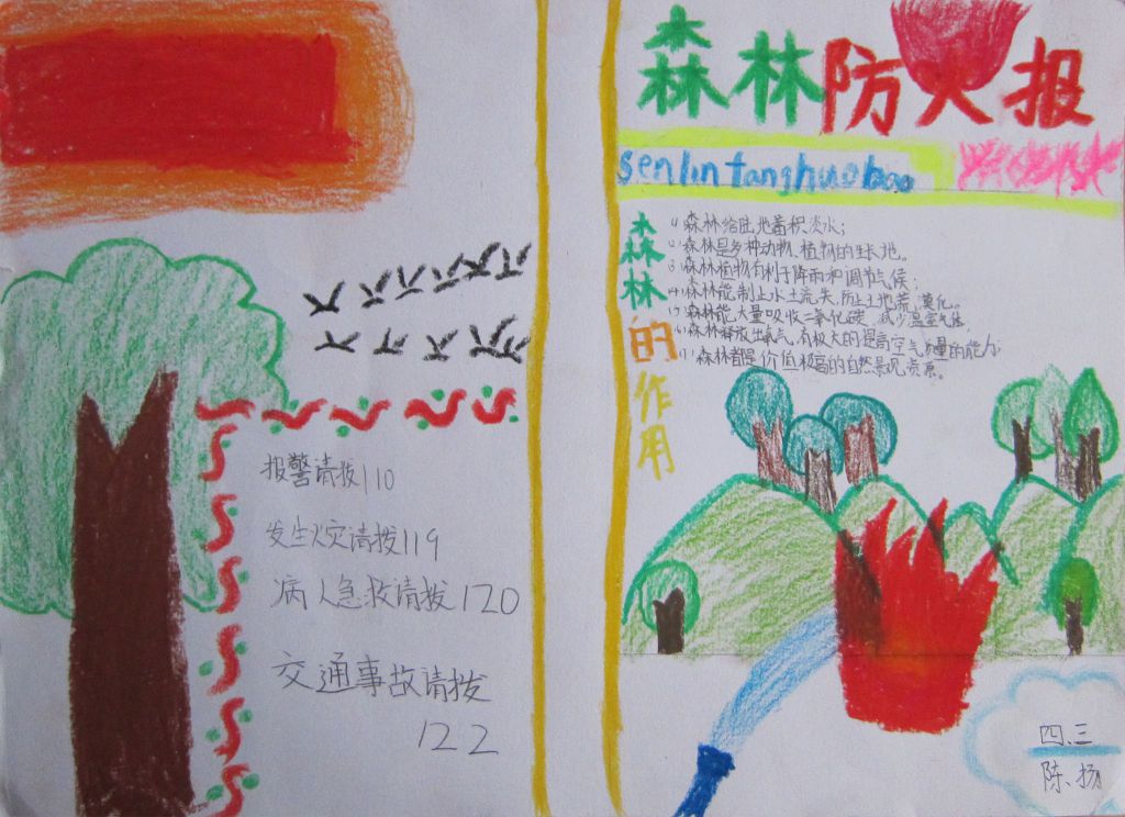 森林防火有你有我手抄报