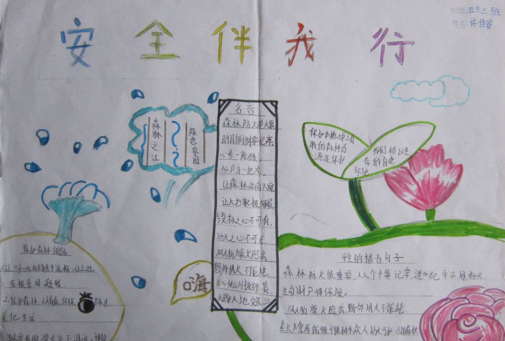森林防火有你有我手抄报