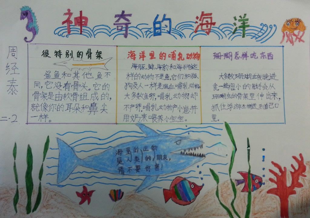 神奇的海洋手抄报图片