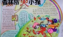 漂亮的森林防火小报