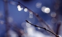 2019年雨水节气是农历几月几日 2019年雨水时间