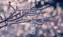年关的信号——腊八节