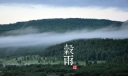 谷雨是什么时候？二十四节气之谷雨的由来与含义