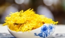 菊花茶可不可以天天喝 喝菊花茶需要随泡随饮不要隔夜