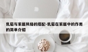 乳茄与家居风格的搭配-乳茄在家居中的作用的简单介绍